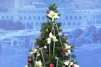 С Новым годом! С Новым годом!